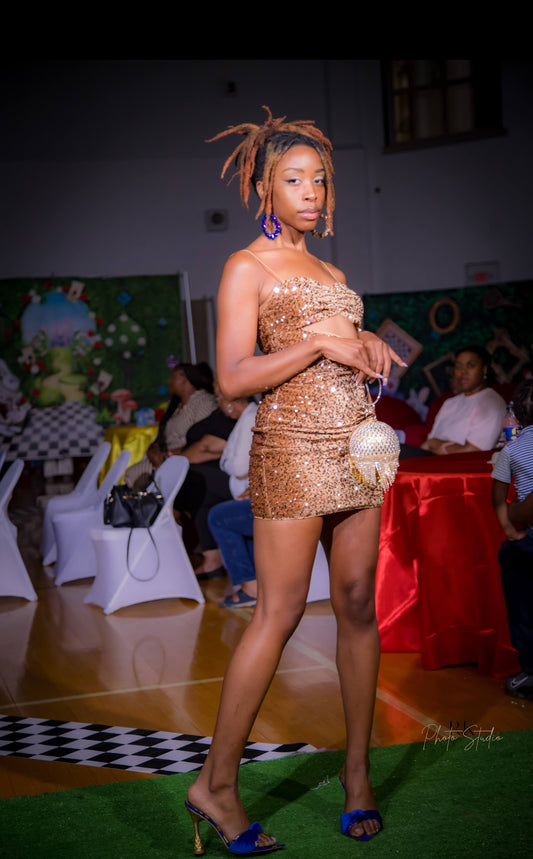 Tasseled Bling LUX Clutch Purse